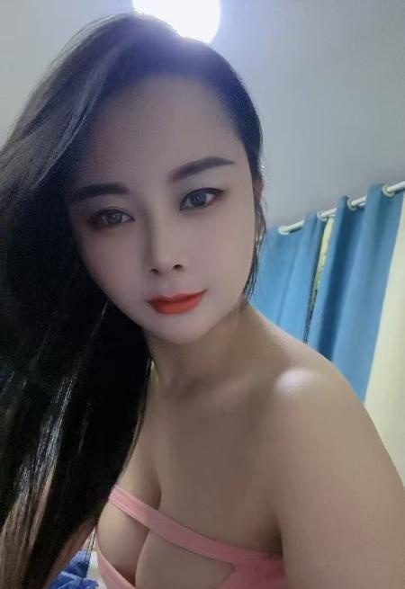 包河小夜猫