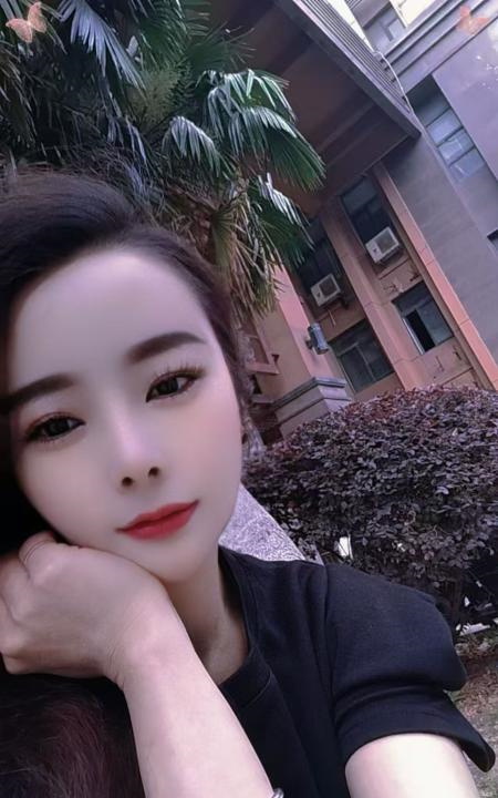 包河小夜猫