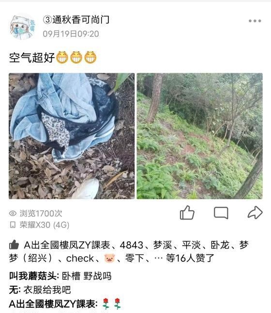 镇海骆驼秋香