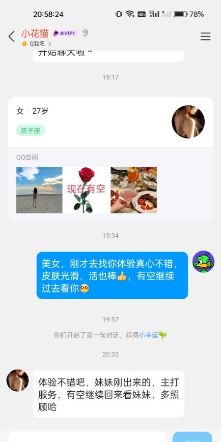 津南小花猫
