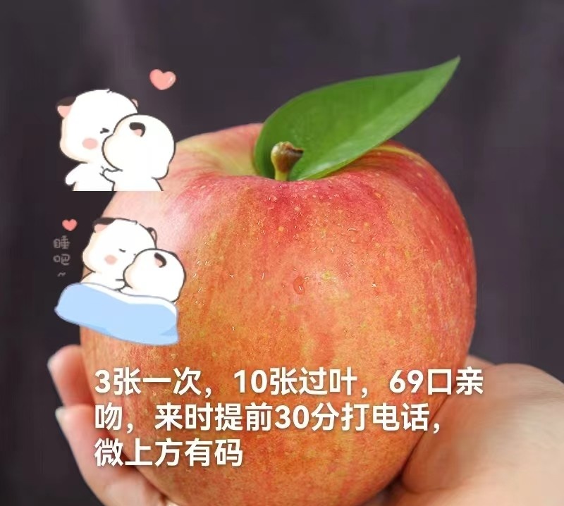 西工性价比