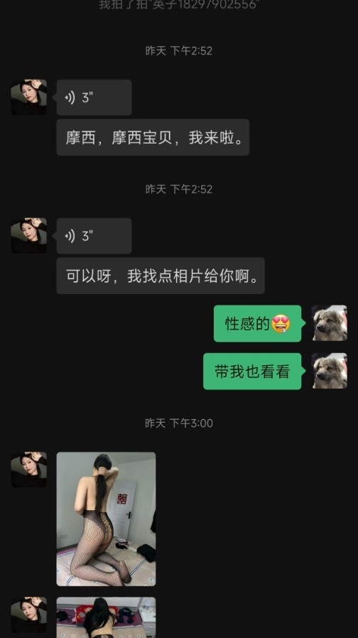 爆操合肥英子