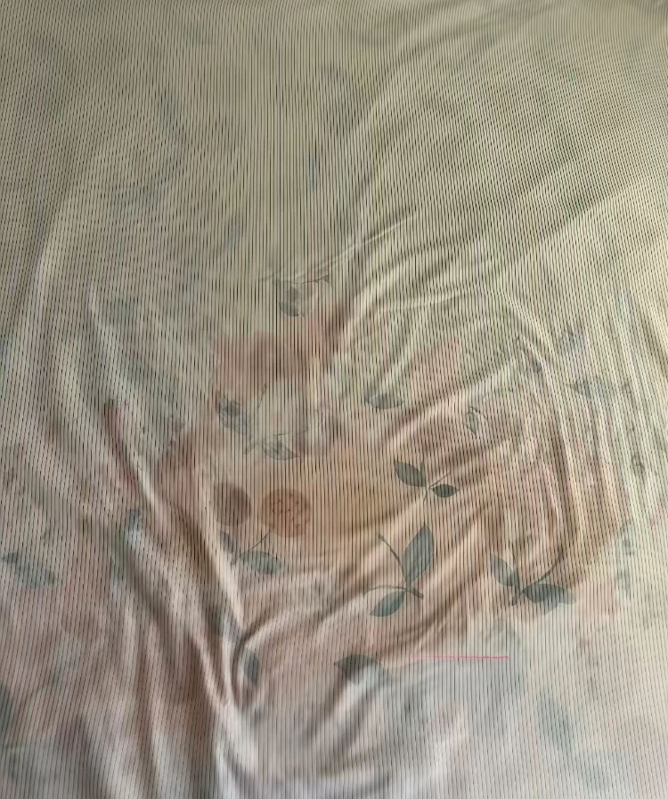 普陀个人公寓小妹