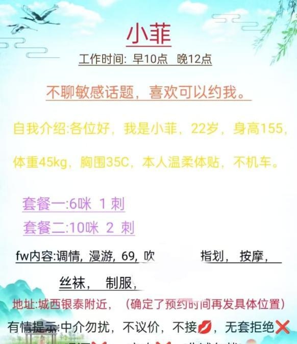 清纯大胸小菲