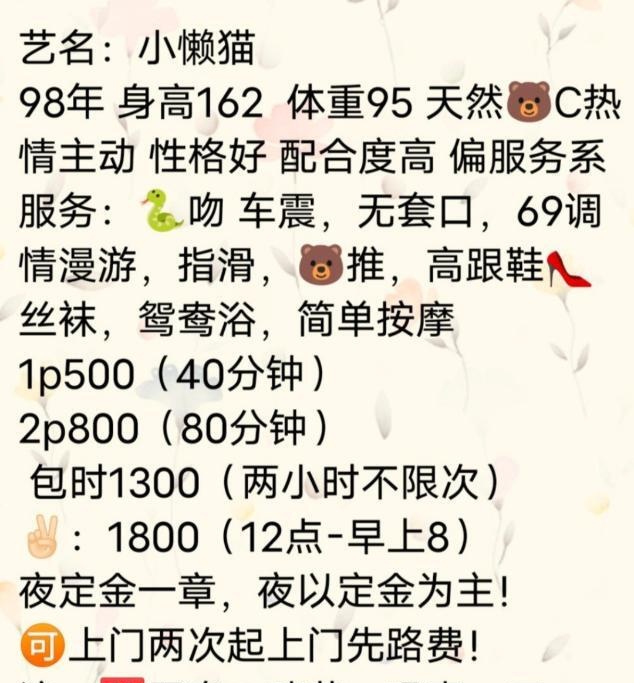 武汉小懒猫