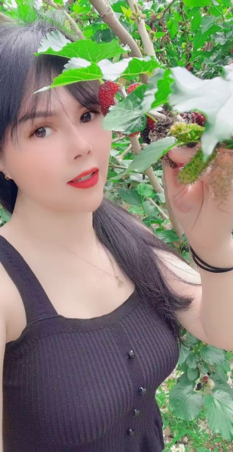 深圳光明少好
