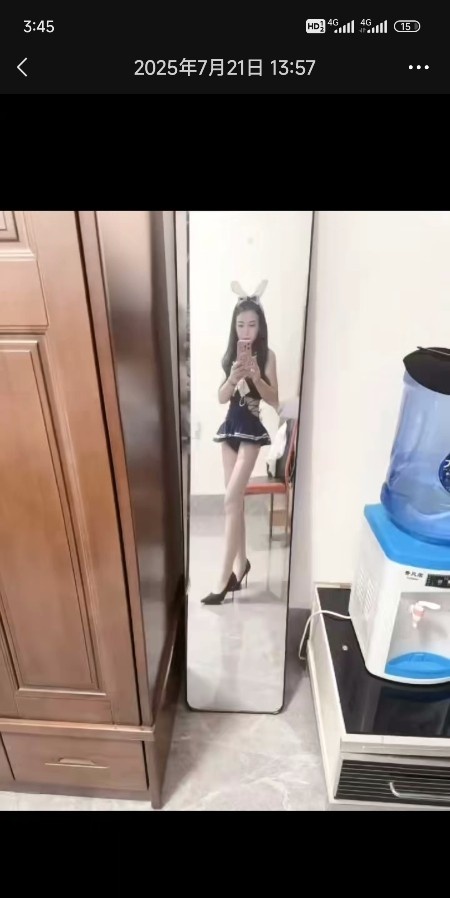 北湖燕子
