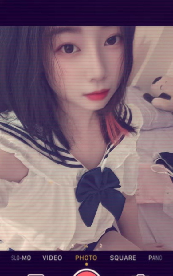 姑苏波霸晨宝