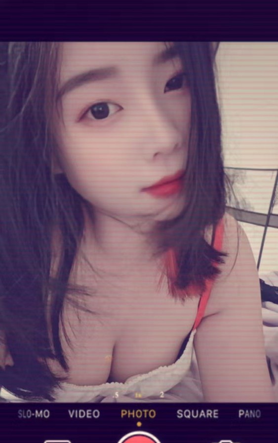 姑苏波霸晨宝