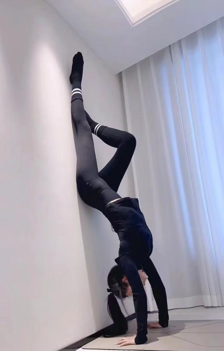 上城御姐小妖精