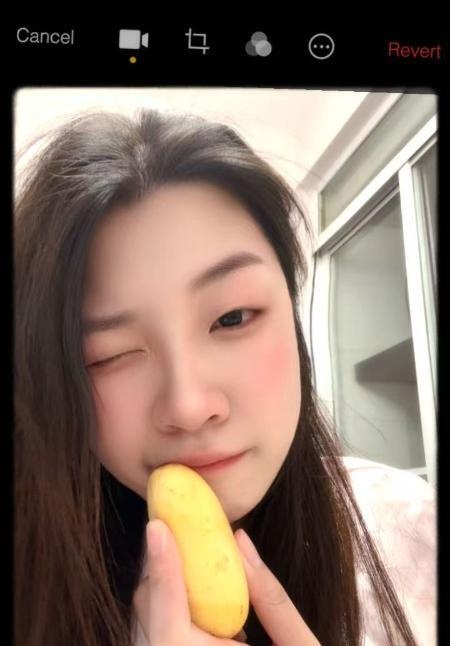 敬业瘾大小布点
