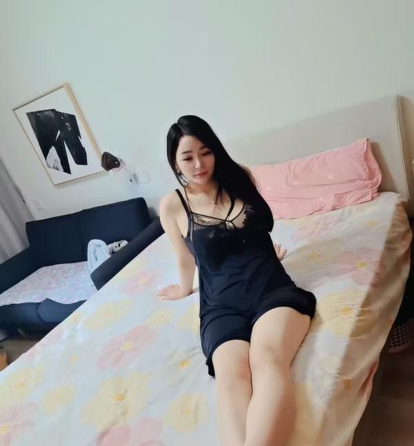 会服务的大个丽桐
