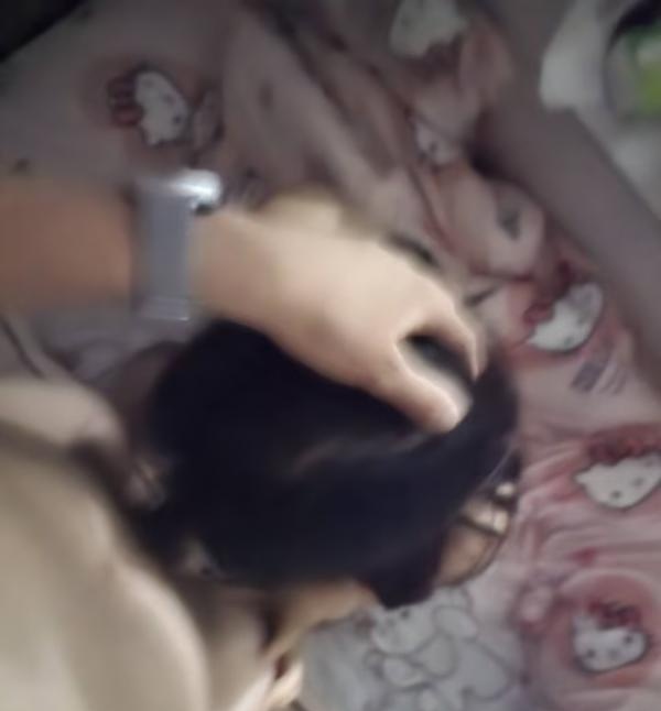 熟妇肛交