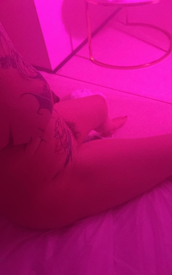 心尖尖的玫瑰