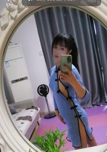 芙蓉小野猫