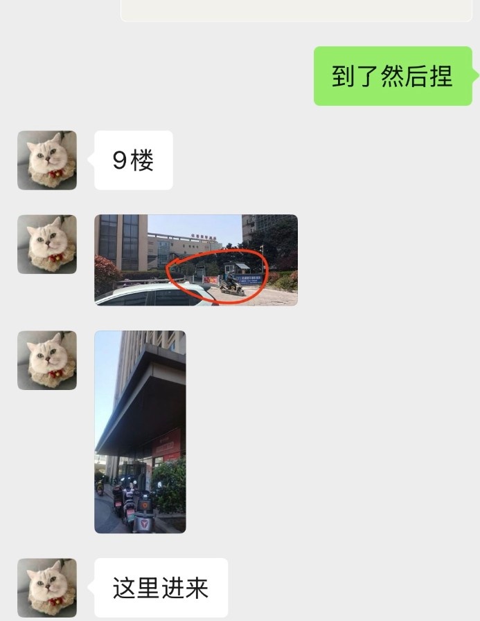 芜湖小妲己