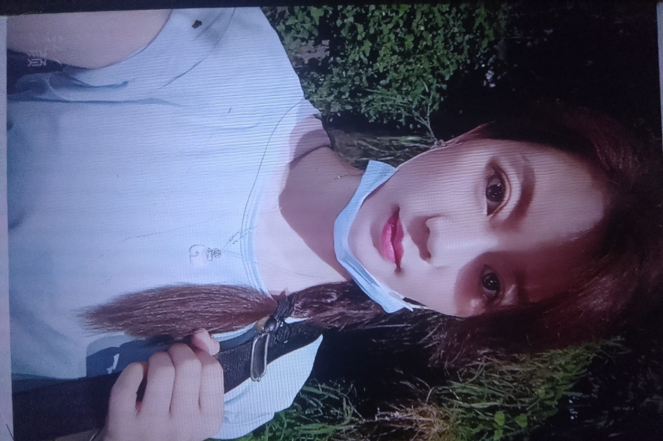 龙华蓝老师