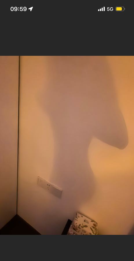 拱墅小辣椒