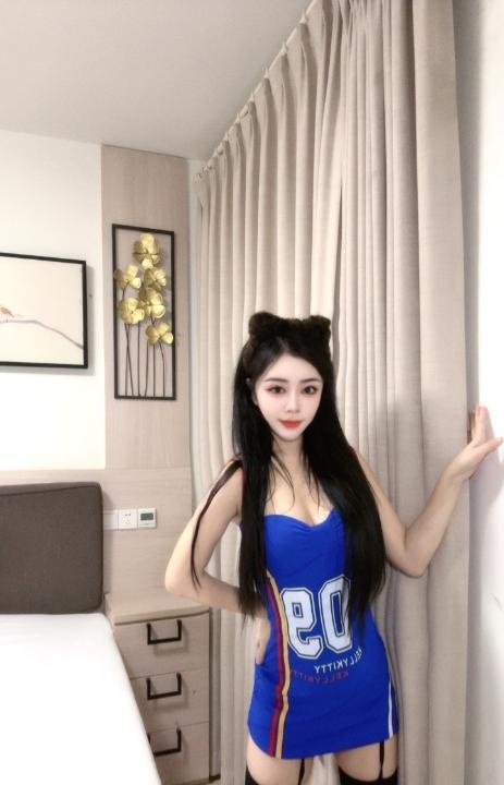 姑苏小野猫可可豆