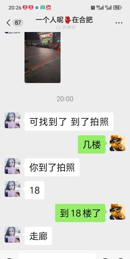 蜀山豹纹大长腿