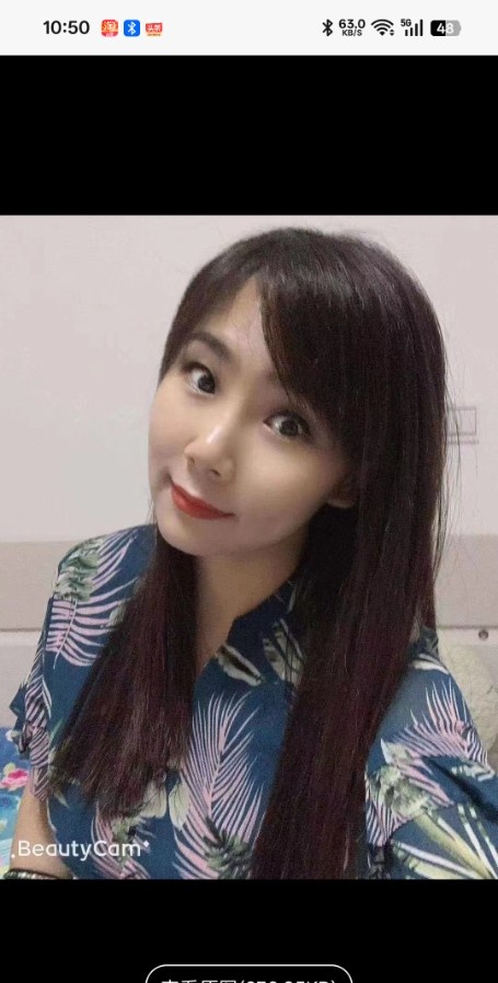 成都玫瑰