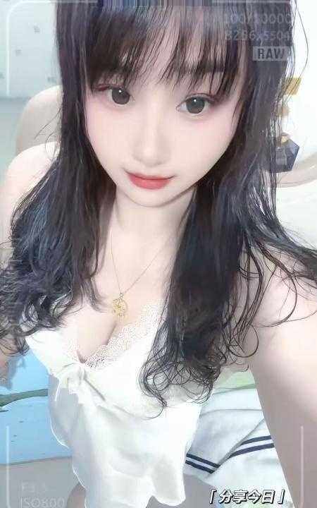 长春小笨鸡