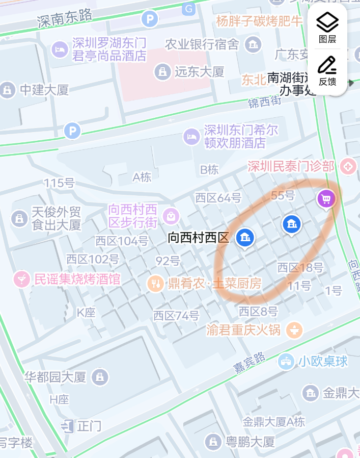 罗湖向西村