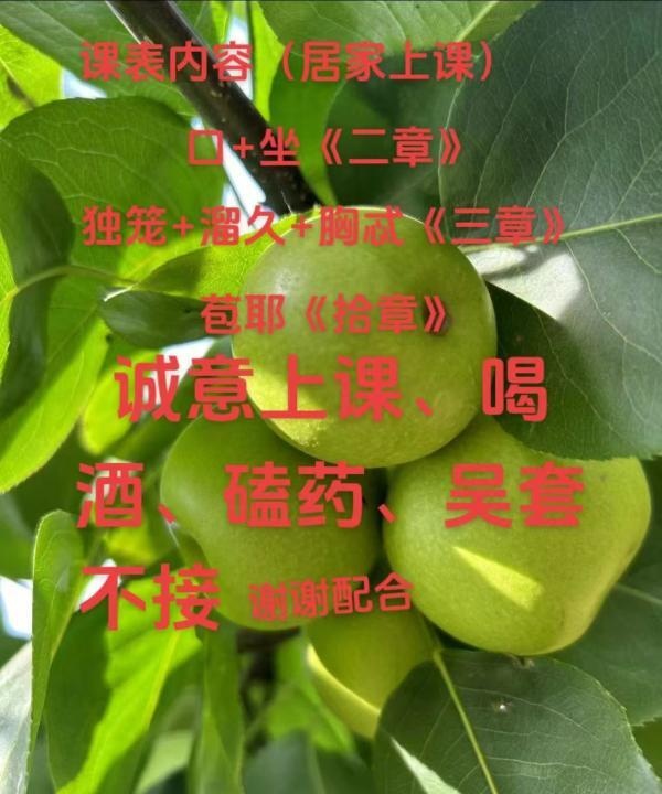 新吴少妇小晓