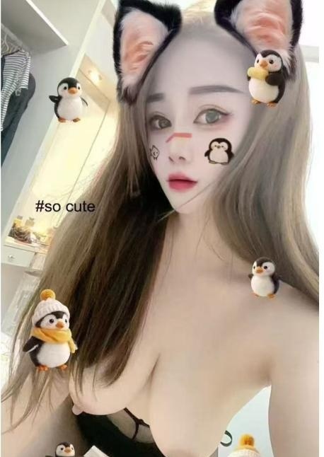 罗湖小蜜蜂
