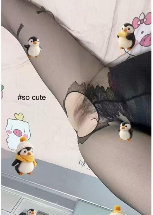 罗湖小蜜蜂