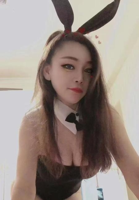 宝安大波小肥猫