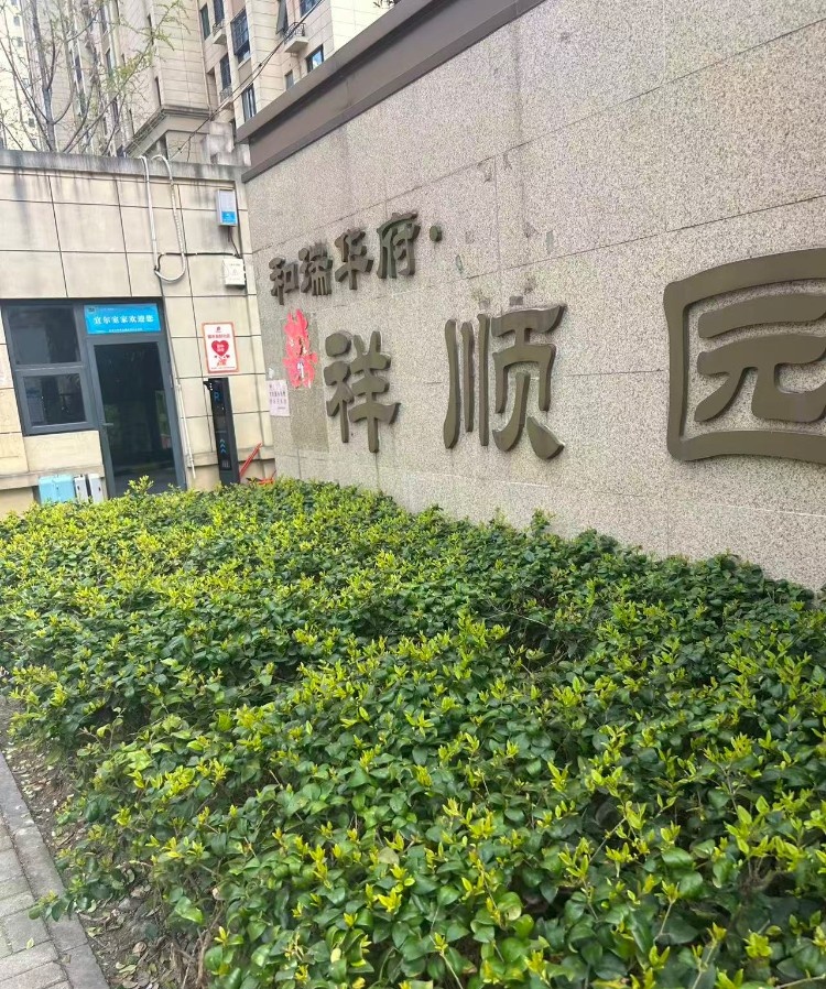 包河大熊静静