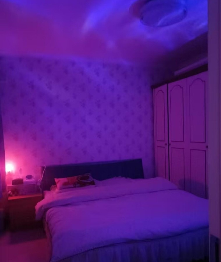 西安三桥大奶牛西柚