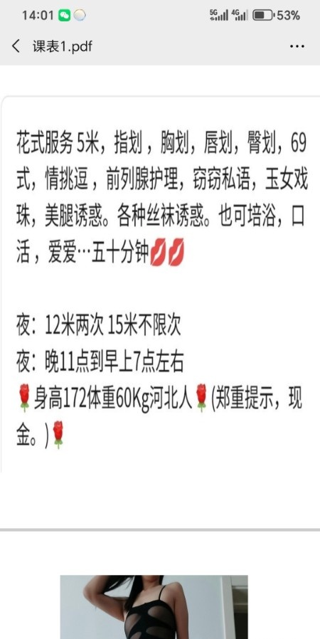 南开佳佳