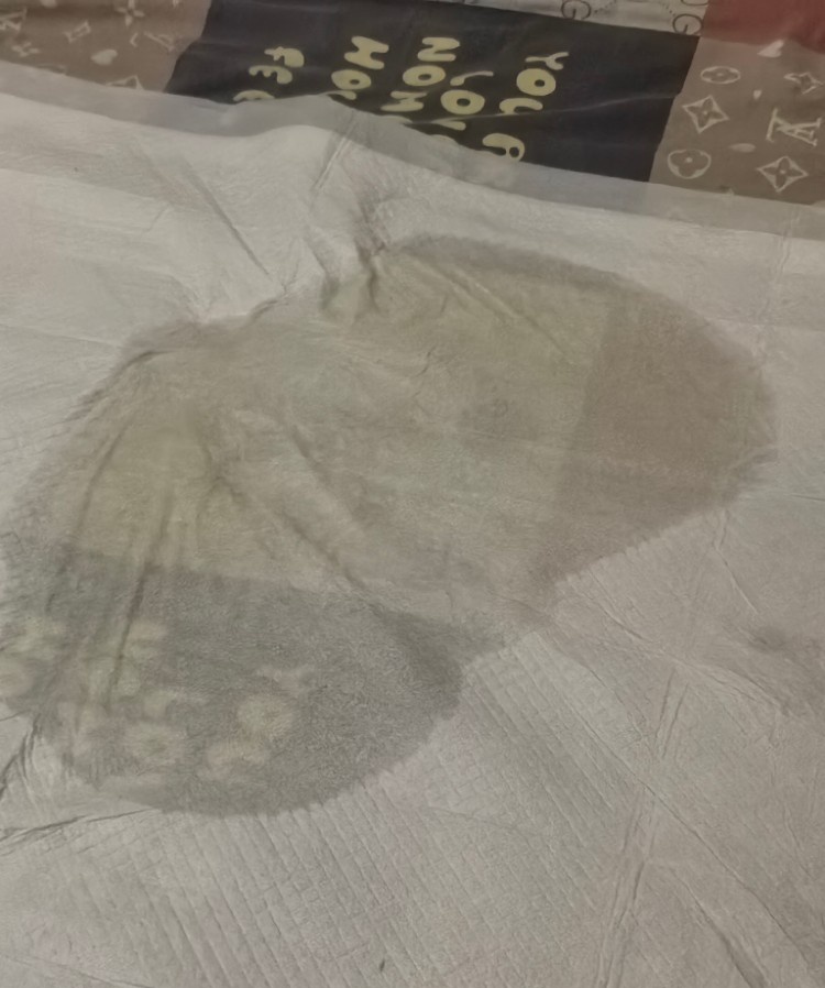 红桥坦克姐姐