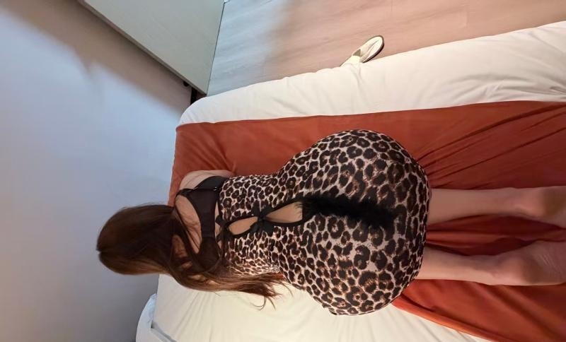 九百包夜东北少妇
