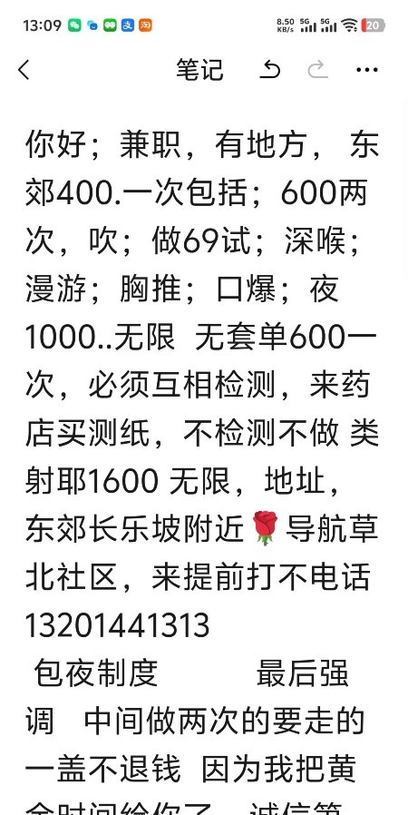 SM骚货姐姐