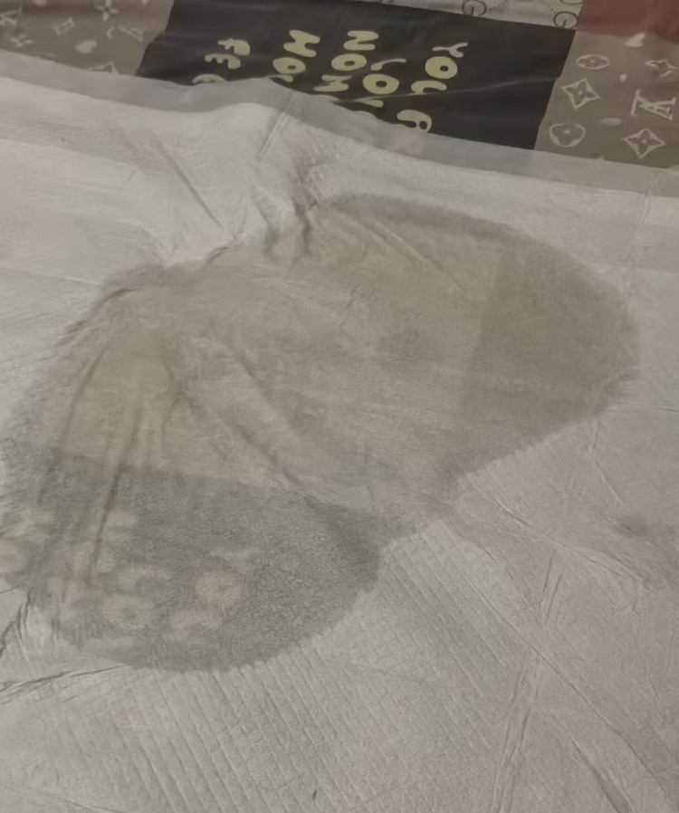 红桥喷水淫妇