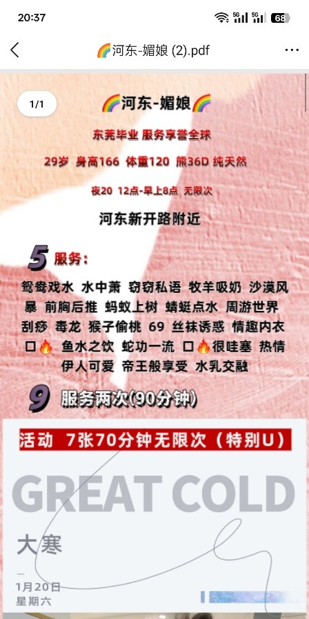 天津河东媚娘