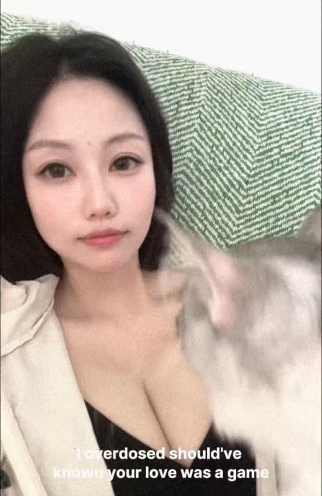 徐汇佛系猫妮