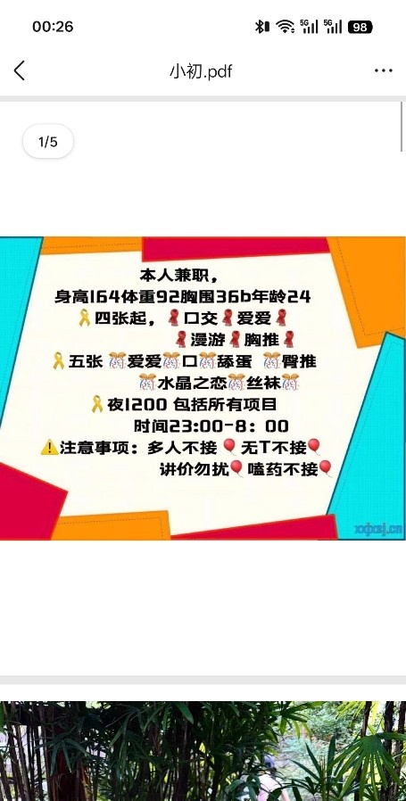 沈阳新下海小初