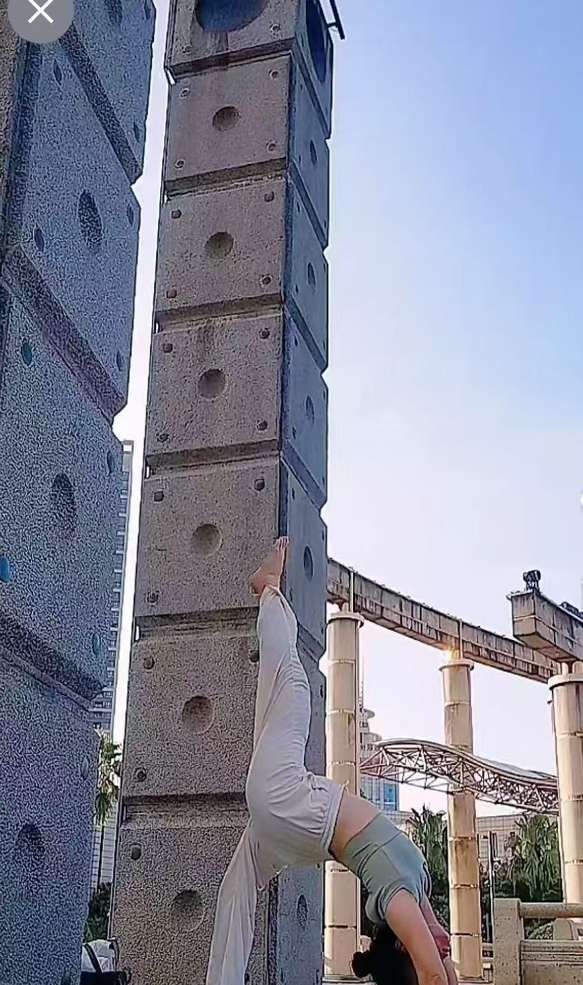 专业抓龙筋