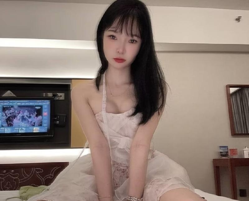 石景山小碟回来啦