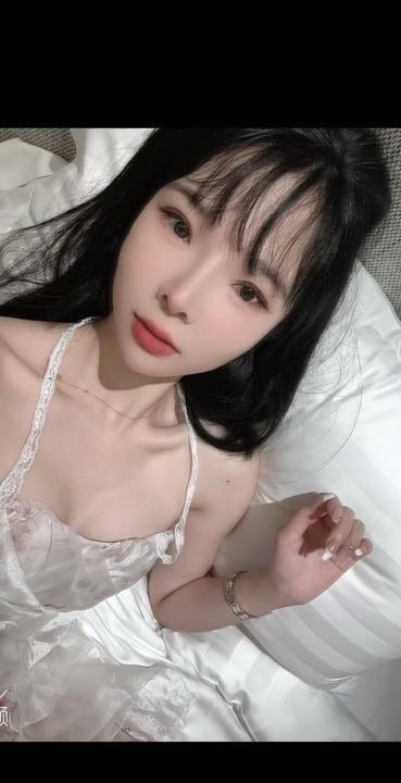石景山小碟回来啦