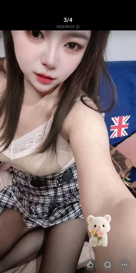 蜀山 桐桐