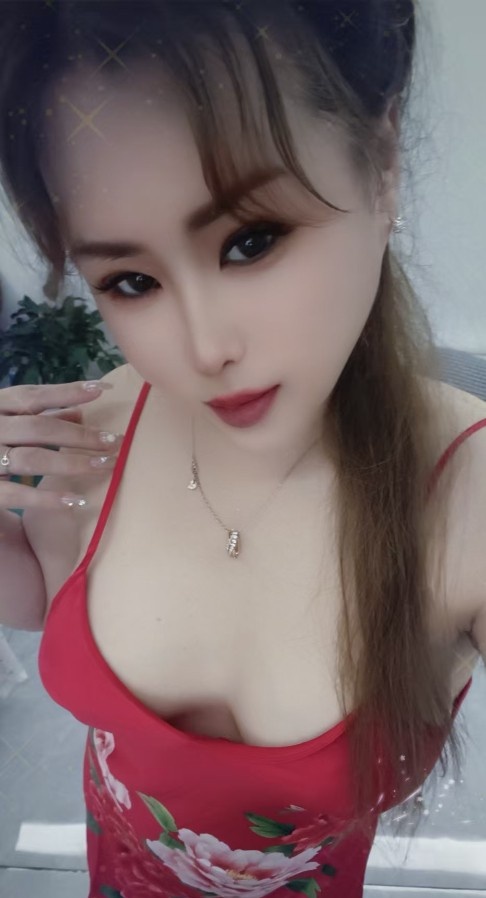 潘家园   豆豆