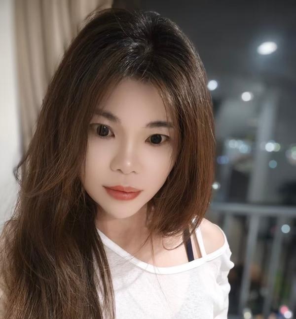 顺德小野猫