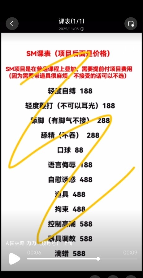可以sm的坦克肉肉