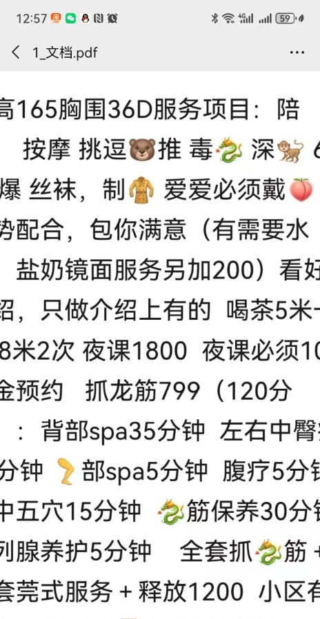 西安骚货一分钱一分货